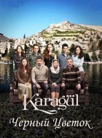 Чёрный цветок / Чёрная роза