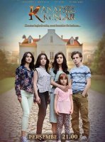 Бескрылые птицы