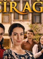 Фиговое дерево