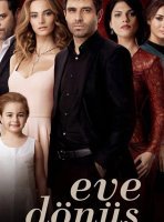 Возвращение домой