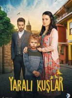 Раненые птицы