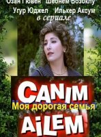 Дорогая моя семья