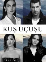 Полёт птицы